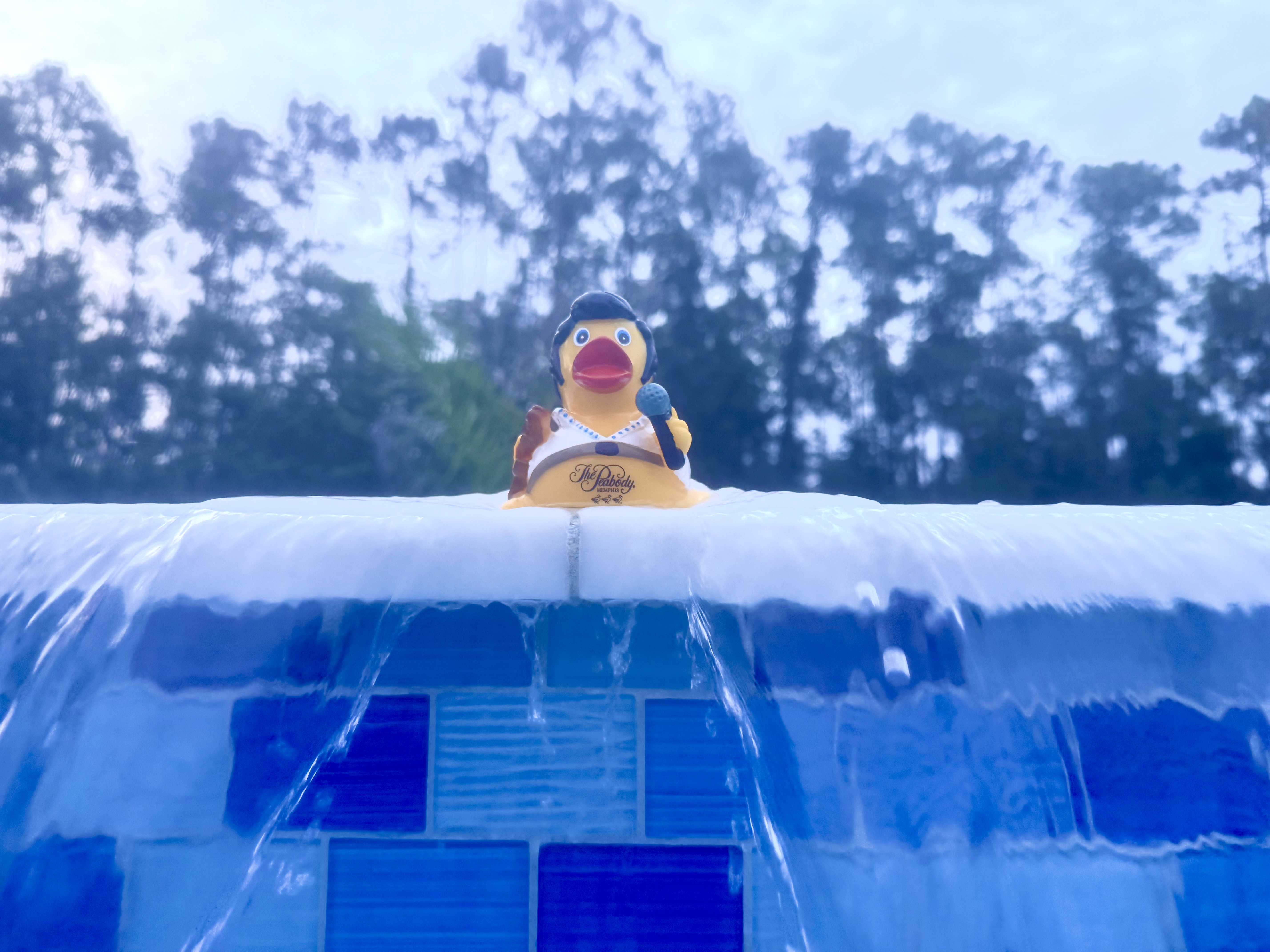 Custom residential pool installation in Naples Florida