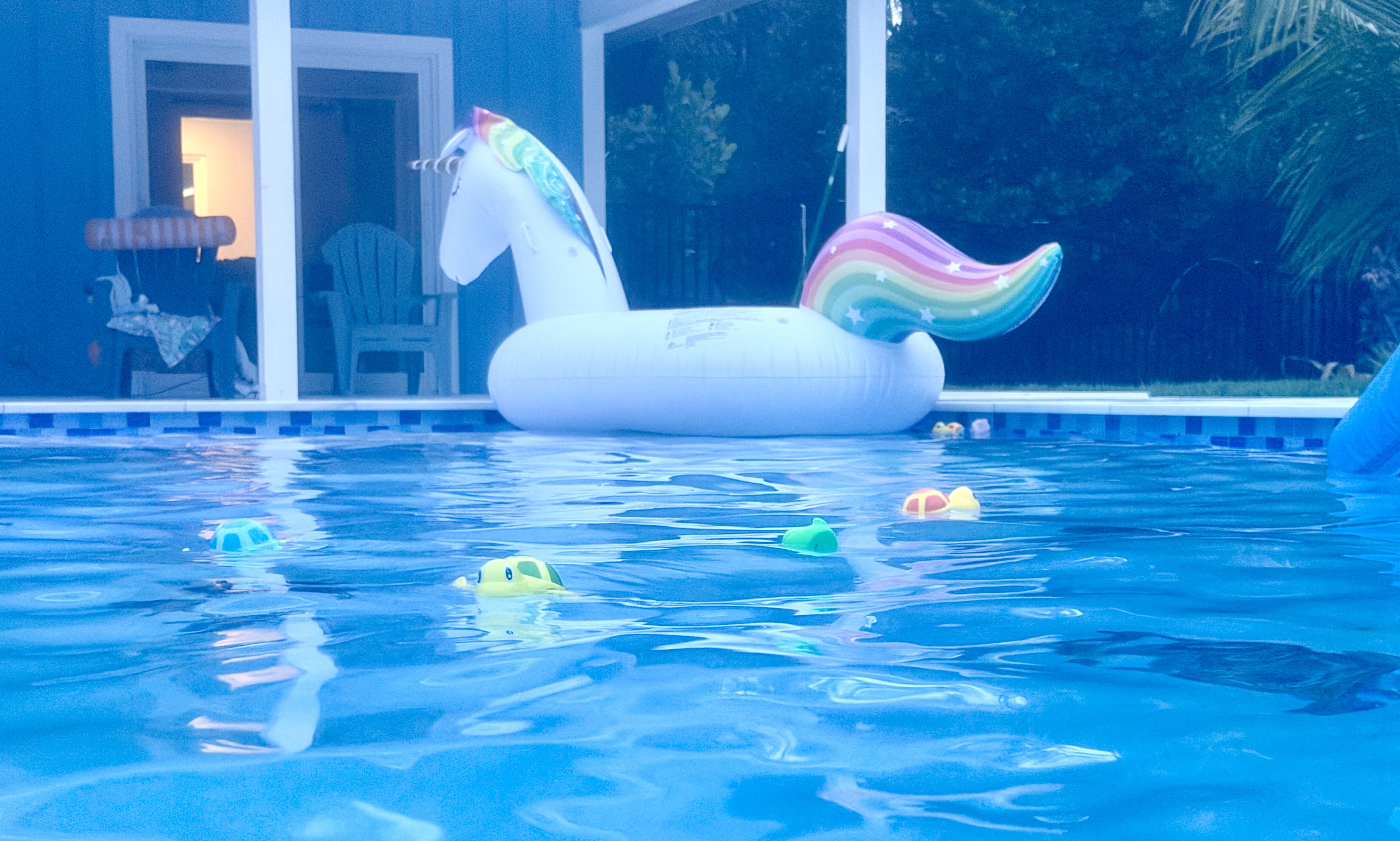 Naples Florida swimming pool